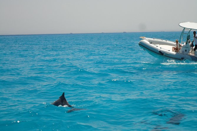 Private Speed Boat Trip In Hurghada - The four-hour plan and how to customize it
