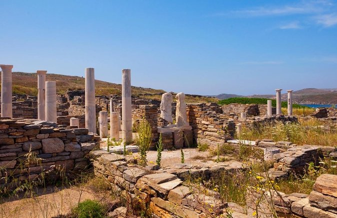 Private Speedboat Cruise from Delos to Rhenia and Mykonos - Key points to know before you book