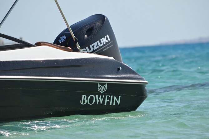 Private Speedboat Dolphins and Snorkelling Cruise in Hurghada - What the $10 price really tells you