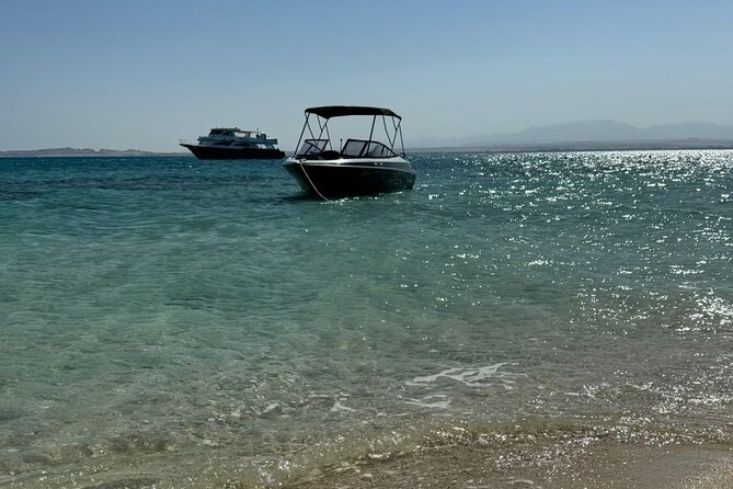 Private Speedboat Dolphins and Snorkelling Cruise in Hurghada - Weather, cancellation, and practical planning