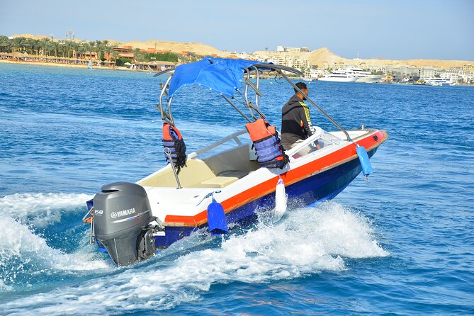 Private Speedboat Excursion Dolphin House Discovery - Hurghada - A private morning on the Red Sea