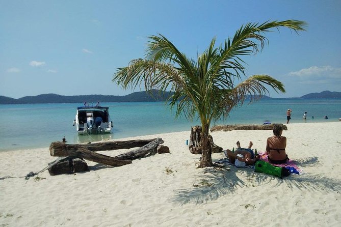 Private Speedboat Koh Tan & Pig Island Snorkeling from Samui - Why this private Samui boat trip works