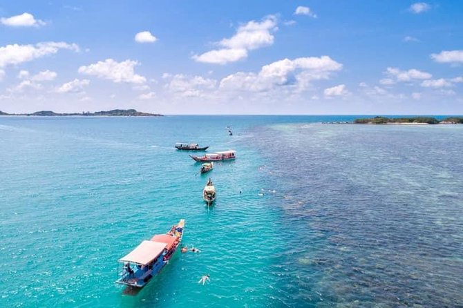 Private Speedboat Koh Tan & Pig Island Snorkeling from Samui - Snorkeling equipment, lunch, and what is covered