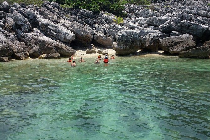 Private Speedboat Koh Tan & Pig Island Snorkeling from Samui - Who should book this experience?