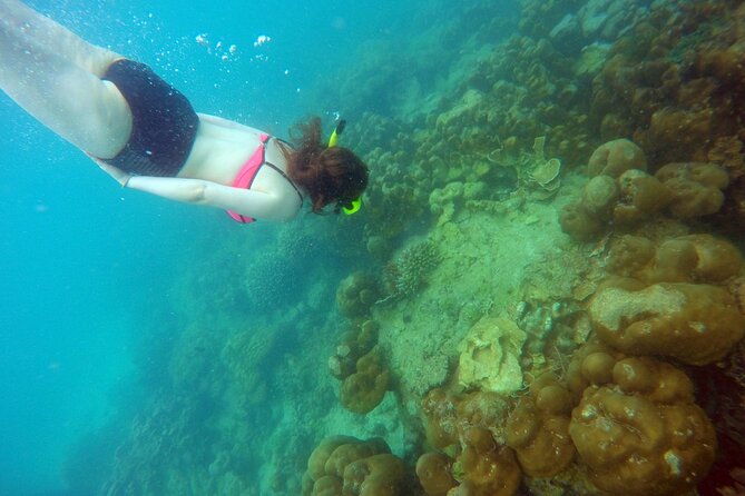 Private Speedboat Maiton, Racha, and Coral Islands Tour from Phuket - Why this island combination works