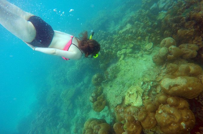 Private Speedboat Maiton, Racha, and Coral Islands Tour from Phuket - Maiton Island and the dolphin possibility