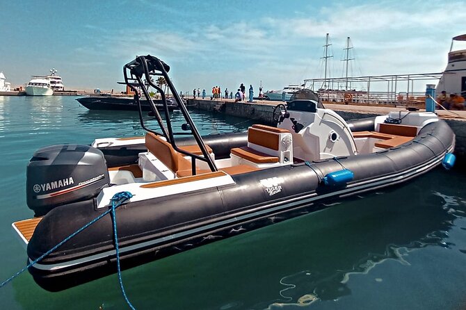 Private Speedboat swimming and Dolphin Watching in Hurghada - Who gets the best value from this trip