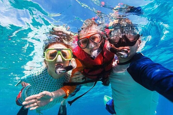 Private Speedboat to Abu Munkar Island and Snorkeling - Hurghada - Water activities after the reef stop