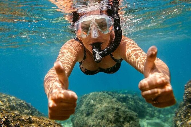 Private Speedboat to Abu Munkar Island and Snorkeling - Hurghada - Is $45 a fair price for a private boat?