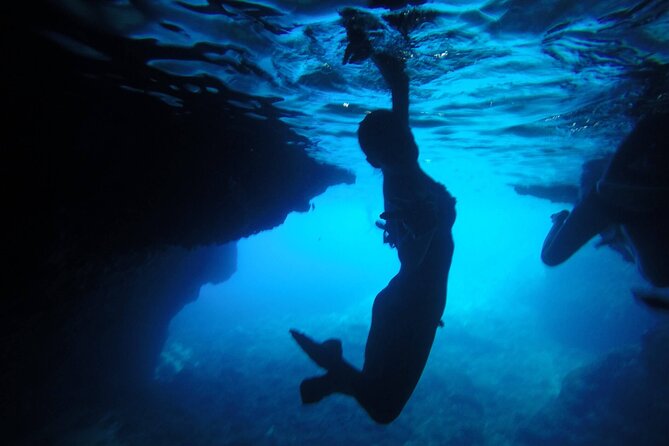 Private Speedboat Tour - How much value do you get for $917.25?