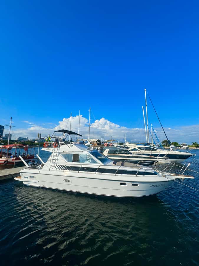 Private speedboat tour in Rio de Janeiro - Meeting at Marina da Glória