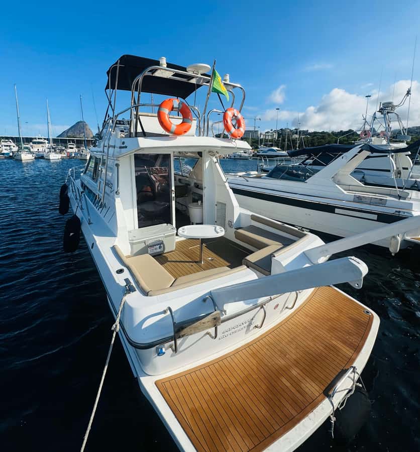 Private speedboat tour in Rio de Janeiro - Choosing among Urca, Vermelha Beach, and Niterói