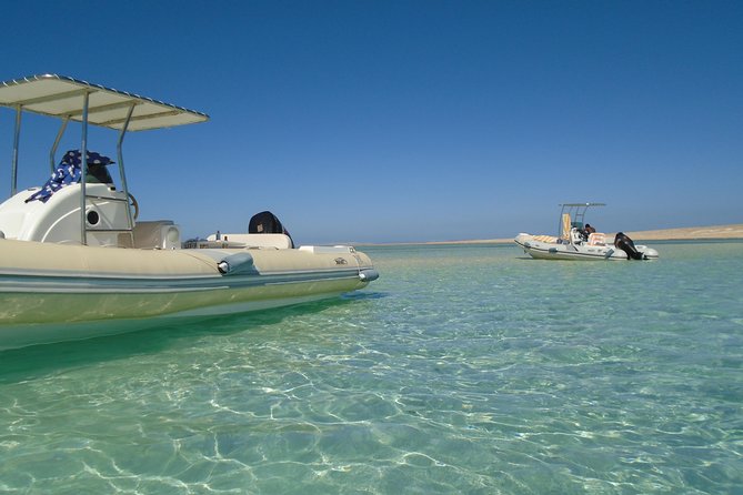 Private Speedboat Trip In Hurghada - Snorkeling over the Red Sea reefs
