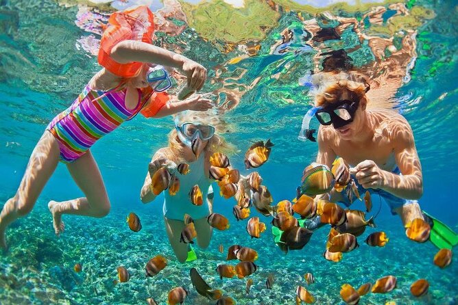 PRIVATE TOUR ! 4-Hours Swiming with dolphins, snorkeling, island by speed boat - Abu Minqar Island and the shipwreck
