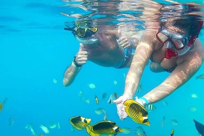 PRIVATE TOUR ! 4-Hours Swiming with dolphins, snorkeling, island by speed boat - What the $160.80 price includes
