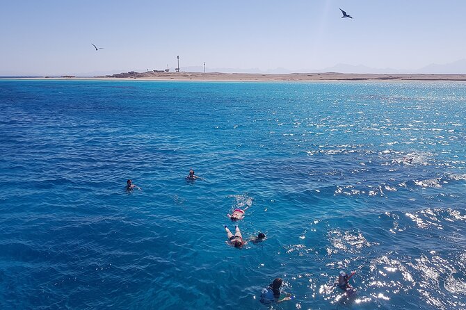 PRIVATE TOUR ! 4-Hours Swiming with dolphins, snorkeling, island by speed boat - Who will enjoy this Hurghada boat trip