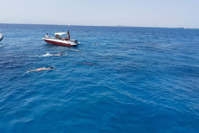 PRIVATE TOUR ! 4-Hours Swiming with dolphins, snorkeling, island by speed boat - What to bring and what to confirm