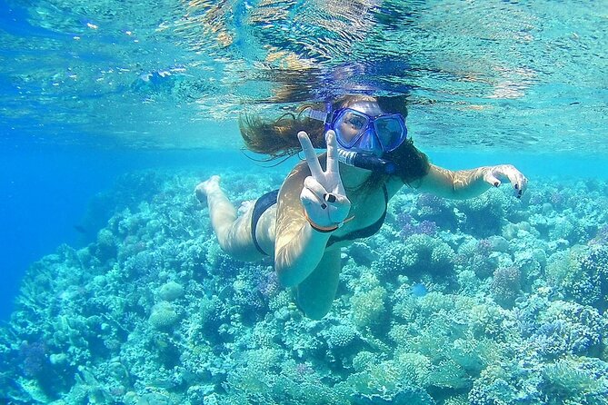 PRIVATE TOUR ! 4-Hours Swiming with dolphins, snorkeling, island by speed boat - Snorkeling at Al Fanadir Reef
