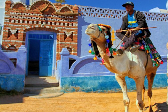 Private Trip to the Nubian Village by Motorboat in Aswan - Why the Nile crossing matters