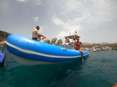 Puerto Colon: Dolphin and Whale Watching Speedboat Cruise