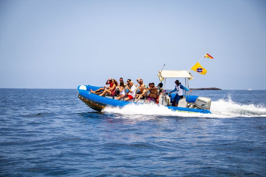 Puerto Colon: Dolphin and Whale Watching Speedboat Cruise - A bay stop for swimming and snorkeling