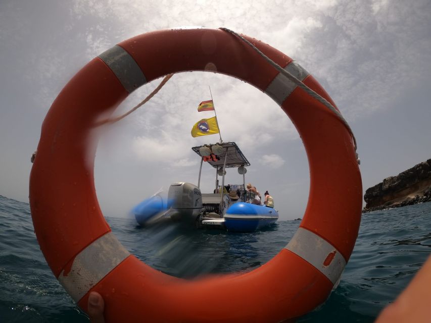 Puerto Colon: Dolphin and Whale Watching Speedboat Cruise - Practical details that make the day easier