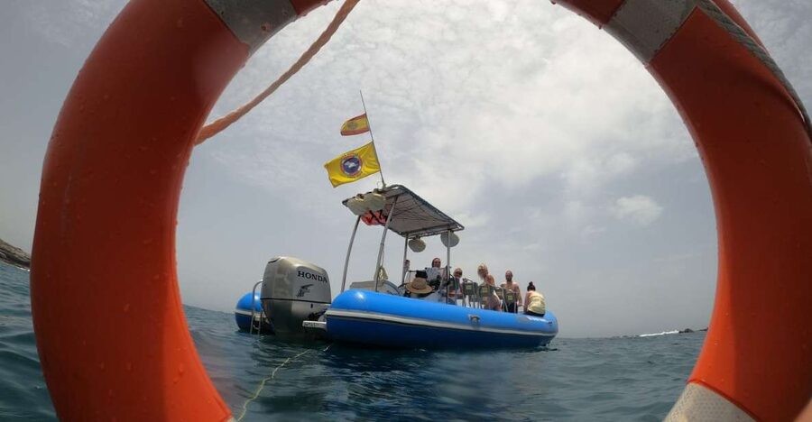 Puerto Colon: Dolphin and Whale Watching Speedboat Tour - Key points to know before booking