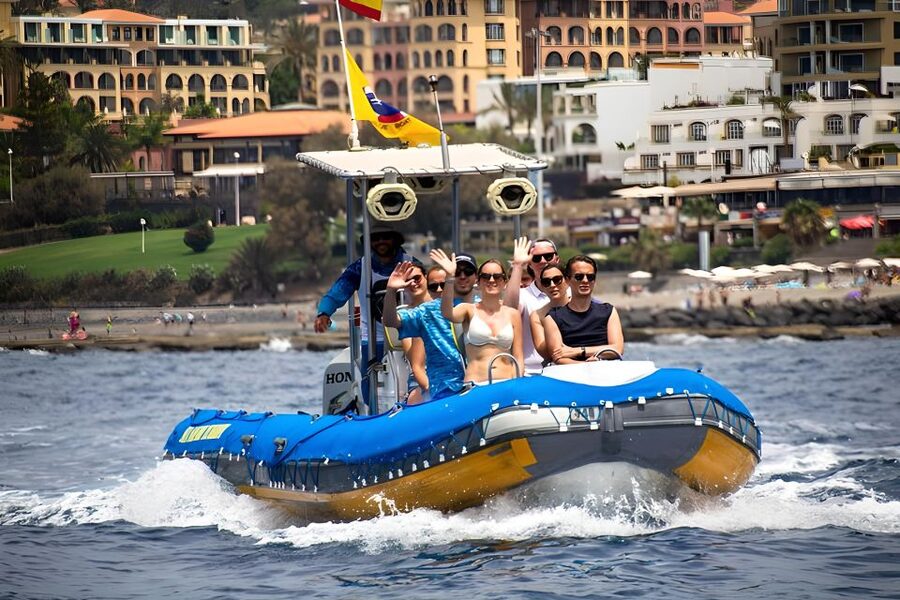 Puerto Colon: Dolphin and Whale Watching Speedboat Tour - Meeting pilot whales, dolphins, and turtles