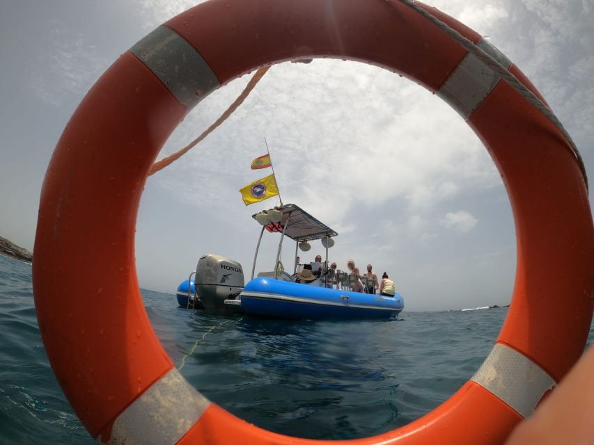 Puerto Colon: Dolphin and Whale Watching Speedboat Tour - Leaving Puerto Colón for the Atlantic