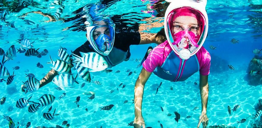 Puerto del Carmen: Dolphin-Watching Speedboat Tour with Swim - Key points before you book