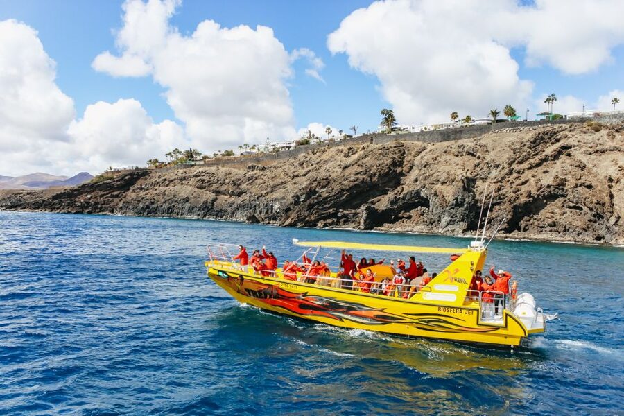 Puerto del Carmen: Dolphin-Watching Speedboat Tour with Swim - Should you book this Puerto del Carmen dolphin tour?