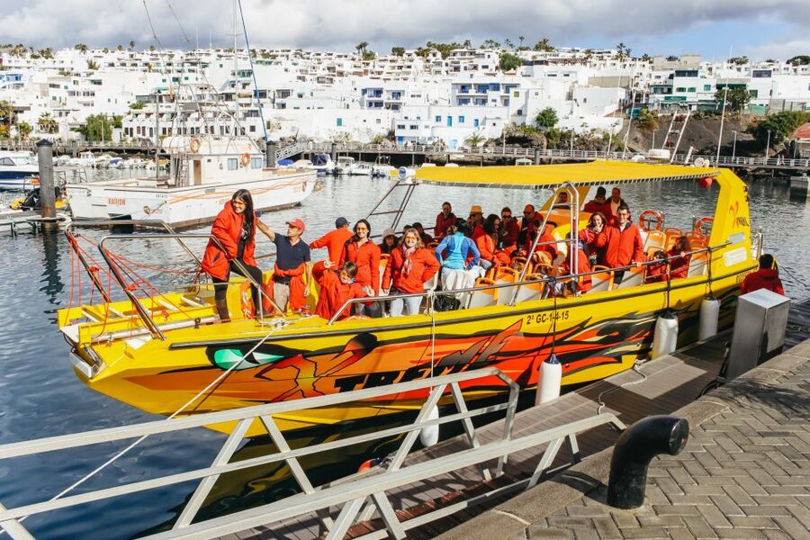 Puerto del Carmen: Dolphin-Watching Speedboat Tour with Swim - What the guides add to the experience