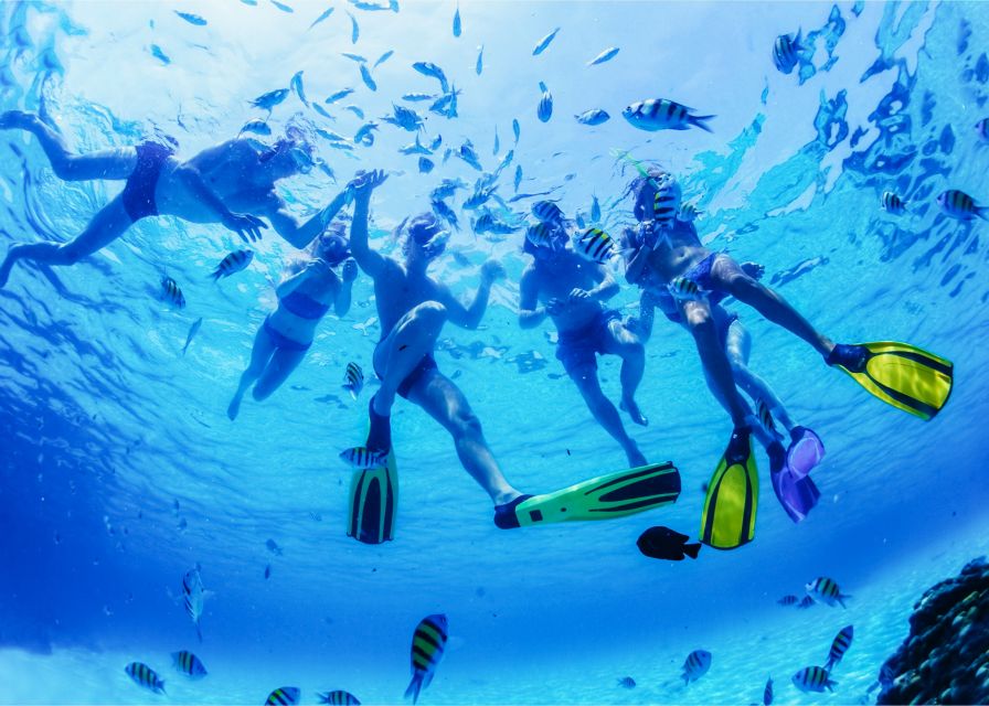 Puerto del Carmen: Dolphin-Watching Speedboat Tour with Swim - Practical tips for a smoother outing