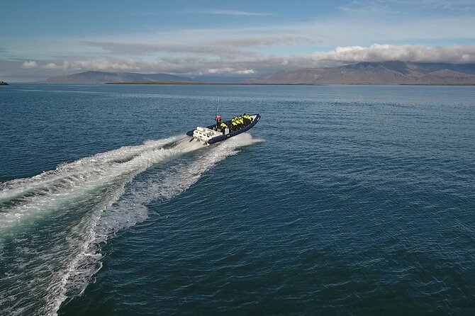 Puffin Express by RIB Speedboat from Reykjavík - Meeting at Reykjavík’s Old Harbour