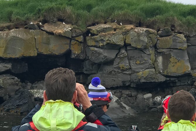 Puffin Watching Speedboat Express - Why the noon departure works well
