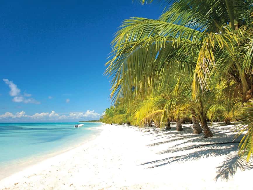 Punta Cana: Saona Island Speedboat and Catamaran Tour - The morning transfer to Bayahibe