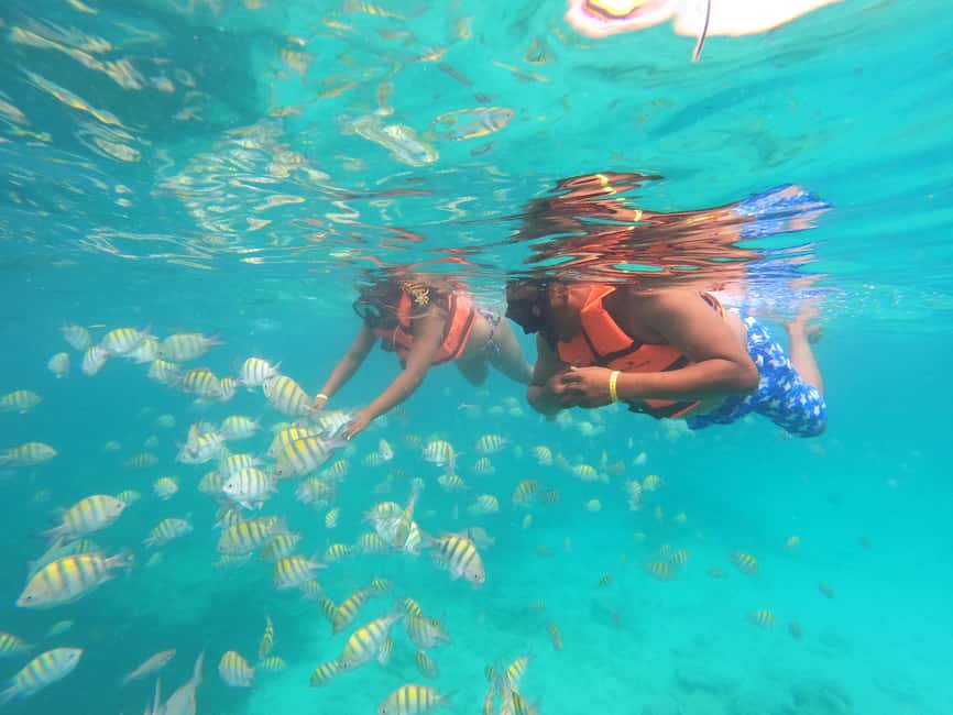 Punta Cana: Speed Boat Ride & Snorkel Adventure - The guide makes the difference