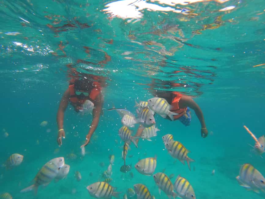 Punta Cana: Speed Boat Ride & Snorkel Adventure - Is $65 a fair price?