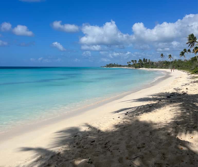Punta Cana: VIP Private Speedboat Escape to Saona Island - Playa Palmilla and the natural pool
