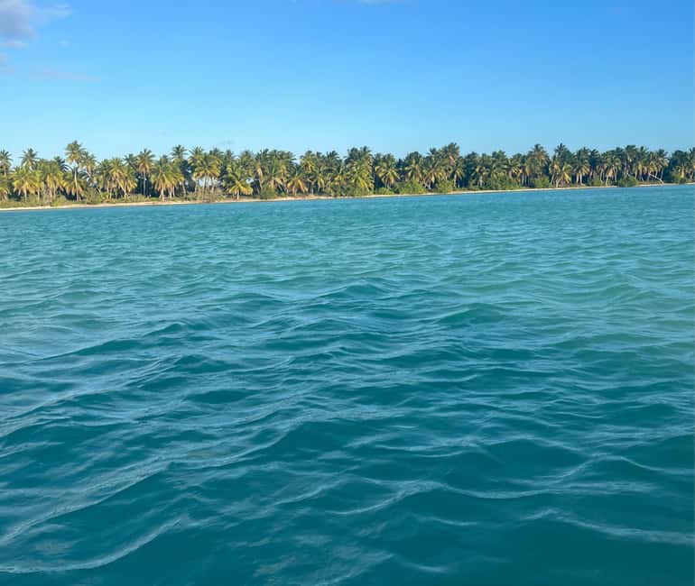 Punta Cana: VIP Private Speedboat Escape to Saona Island - Playa Toro and the Flamingo Lagoon