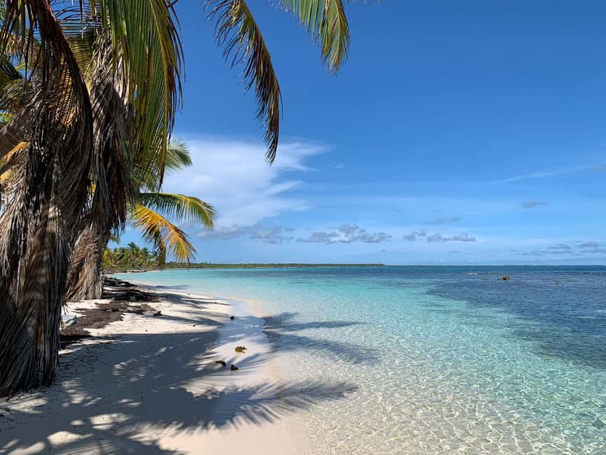 Punta Cana: VIP Private Speedboat Escape to Saona Island - Who should book this experience?