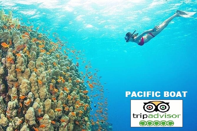 REAL snorkel &island hopping by SPEEDBOAT-EXPLORE CUISINES(MAX12) - The Vietnamese meal is better than the wording suggests