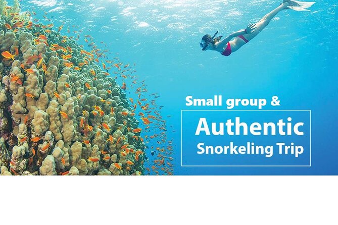 REAL snorkel &island hopping by SPEEDBOAT-EXPLORE CUISINES(MAX12) - May Rut, Gham Ghi, and the beach break