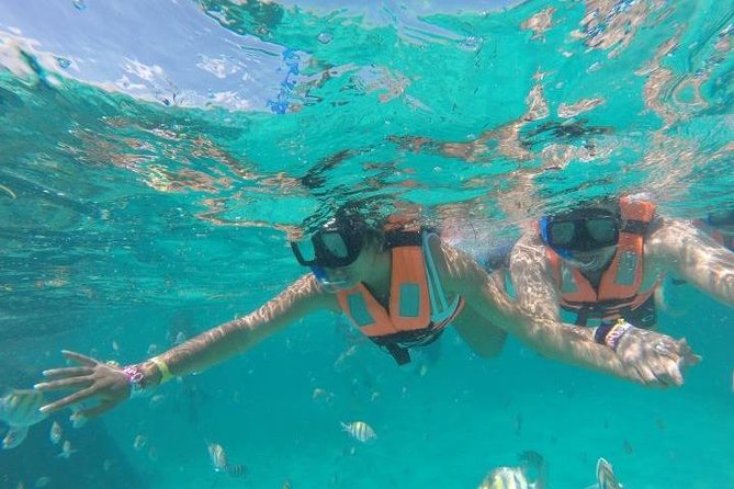 Reef Snorkeling & Jungle Speedboat Adventure with Mayan Ceremony - Should you book this tour?