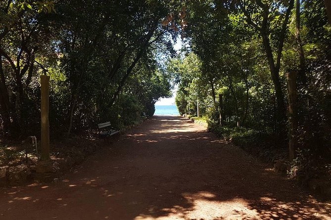 Rent a speed boat and explore beaches and coves of Elaphiti Islands - Šipan: the quietest look at island life