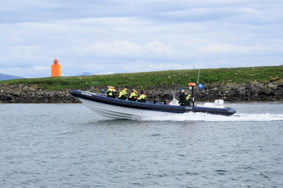 Reykjavik: Puffin Watching Tour by RIB Speedboat - Key points to know before booking