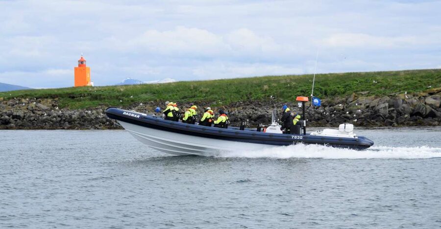 Reykjavik: Puffin Watching Tour by RIB Speedboat - Why this short RIB tour works so well in Reykjavik