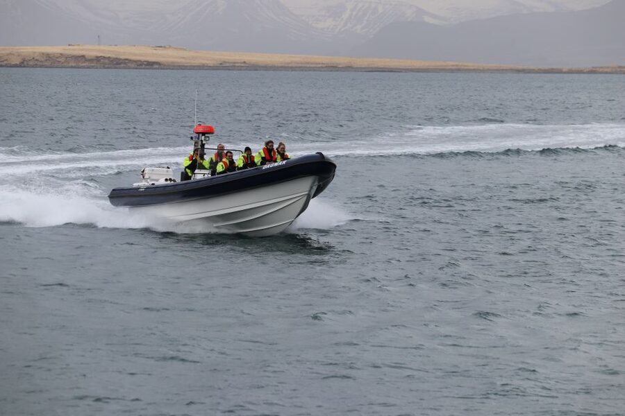 Reykjavik: Puffin Watching Tour by RIB Speedboat - What the $84 price buys you