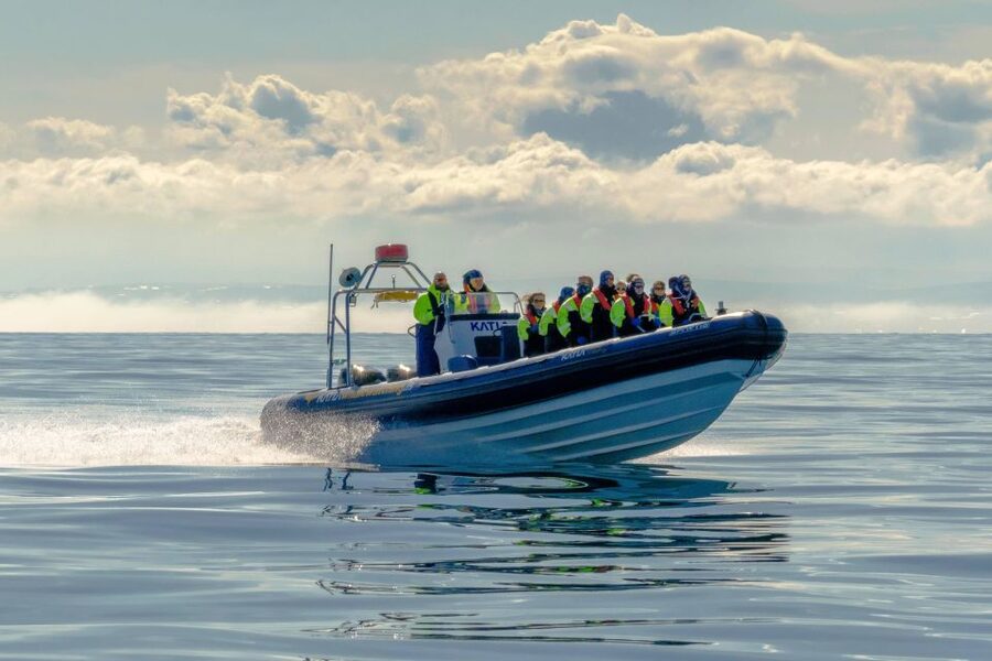 Reykjavík: RIB Speed-Boat Puffin Watching Tour - Photos, comfort, and the real feel of the ride