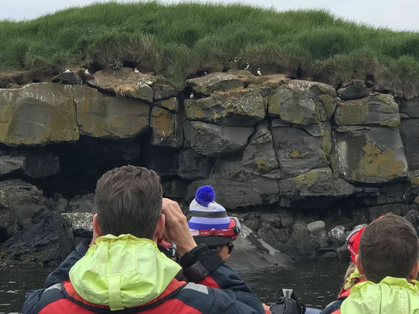 Reykjavík: RIB Speed-Boat Puffin Watching Tour - Is $81 a fair price for one hour?